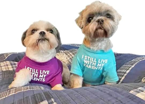 Cute Dog Clothes,Dog T Shirt for Medium Dogs.Dog Clothes for Small Dogs Girl Boy,Puppy.Breathable Soft Dog Costume Pet Dogs Cats,Pet Pullover Jump...