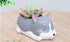 Husky Dog Succulent Planter Pot,use for Office House Balcony Landscape Creative Decorative Flower Pots (Husky)...