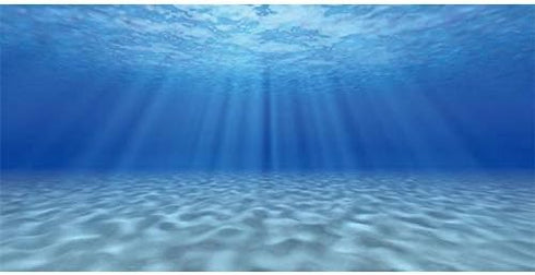 AWERT 24x16 inches Undersea Theme Ocean Floor Aquarium Background Fish Tank Background Polyester Background...