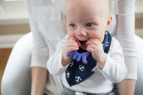 Dr. Brown's Flexees Friends Silicone Teether, Purple Octopus...