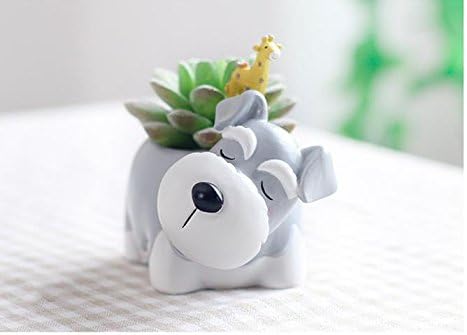 Cute Planter Animal Shaped Cartoon Home Decoration Succulent Vase Flower Pots (Schnauzer)...