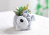 Cute Planter Animal Shaped Cartoon Home Decoration Succulent Vase Flower Pots (Schnauzer)...