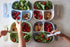 Re-Play Made in USA Toddler Forks and Spoons, Pack of 8 Without Carrying Case - 4 Kids Forks with Rounded Tips and 4 Deep Scoop Toddler Spoons - 0...