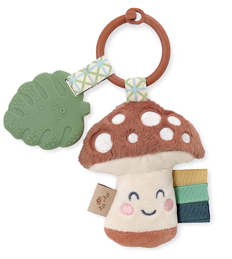 Itzy Ritzy Infant Toy & Teether - Itzy Pal Baby Teething Toy includes Lovey, Crinkle Sound, Textured Ribbons & Silicone Teether Toy for Newborn (M...