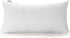 Acanva Polyester Decorative Rectangle Throw Pillow Inserts, Hypoallergenic Form Stuffer Cushion Sham Filler, 16x26, White, 1 Count (Pack of 1)...