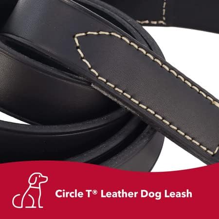 Coastal Pet Circle T Oak Tanned Leather Dog Leash - Durable Dog Leash Perfect for Leash Training - Comfortable Leash for Puppies & Dogs Made from ...