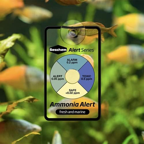 Seachem 28658 Alert Combo Pack white 6 x 3 x 4 inches...