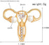 3 Pics Personality Human Body Organ Uterus Rhinestones Brooch Pin Doctor Nurse Clothing Jacket Jewery Gift...