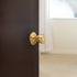 Design House 782730 Tulip Passage Hall and Closet Door Knob Polished Brass...