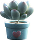 Succulent Pots,Zcargel Car Succulents Potted Decoration Cute Resin Ornaments Car Shaking Head Toy Car Dashboard Decoration for Home, Office and Ga...