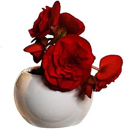 Flower Pot for House Plants-Plant Pots for Indoor & Outdoor Use (Single Round) by Arad...