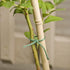 Rocky Mountain Goods Green Jute Twine Heavy Duty 200 ft - 3 Ply Strong Soft Natural Fiber Green Gardening Jute Twine for Plants, Gardening- Soft J...