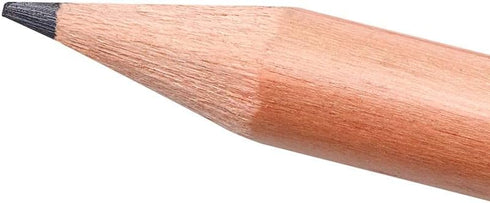 STAEDTLER 131N Unpainted Natural Wood Graphite Pencils, HB2 Woodcased Pencils, Lacquer-Free Round Barrel, Pack of 24...