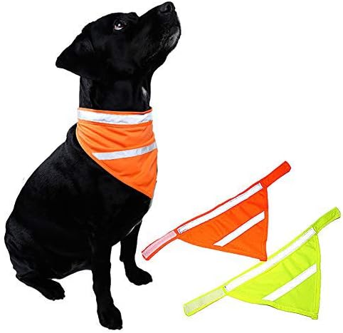 2 Pack REFLECTIVE DOG BANDANA Large/medium/small with Personalized Neon Color,Safety Dog Bandana Orange Dog Scarf High Visibility Bib Dog Walking ...