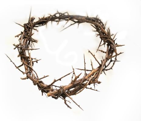 ZULUF 7.5" Crown of Thorns from Bethlehem Jerusalem – Authentic Holy Land Passion of Christ Gift Boxed Ornament HLG027...
