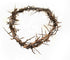 ZULUF 7.5" Crown of Thorns from Bethlehem Jerusalem – Authentic Holy Land Passion of Christ Gift Boxed Ornament HLG027...