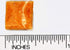 Individually Wrapped Gluten-Free Communion Bread (50 Count)...