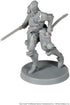 Steamforged Games Dark Souls The Role Playing Game: Alonne Knights Miniatures & Stat Cards...
