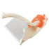 Anatomical Shoulder Joint Model Medical Anatomy Skeleton, Human Body Shoulder Ligament Model Anatomy Replica of Norma Shoulder Joint for Doctors O...