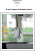 car Pendant car Swing Duck Creative Cute Rearview Mirror Pendant car Interior Decoration Small Roast Duck Pendant (25cm/9.8inch, White)...