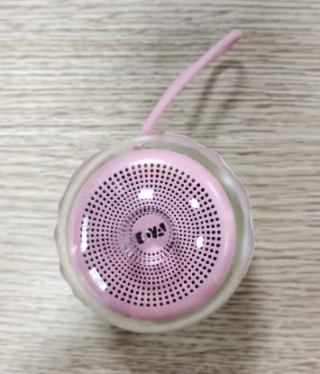 EWA A119 Mini Bluetooth Speaker with Lanyard, Small Speaker with Bass Radiator, IPX7 Waterproof, Tiny but Powerful, Cute Metal Wireless Portable S...