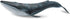 Solid Sea Animals Educational Toys,Simulation Ocean Shark Sea Creature Toy for Toddlers Kids (Blue Whale)...