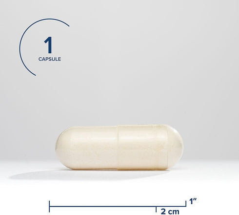 Seeking Health Magnesium Plus - Formula with Vitamin B6 - Magnesium Malate & Glycinate Supplement to Support Bone Health, Sleep & Feelings of Calm...