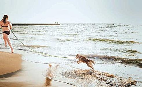 15ft 20ft 30ft 40ft 50ft Long Dog/Puppy Lead Obedience Recall Training Dog Leashes for Small Medium Dogs Camping, Training, Play, or Backyard (30 ...