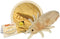 Giant Microbes Louse Plush – Learn About Lice and How to Treat Them, Fun Educational Gift for Family, Friends Doctors, Nurses, Scientists, Insect ...