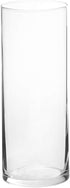 Floral Supply Online - 9" Tall x 3.5" Wide Cylinder Glass Vase and Flower Guide Booklet - for Weddings, Events, Decorating, Arrangements, Flowers,...