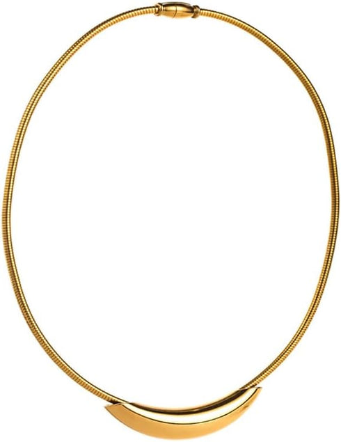 Dtja Chunky Choker Chain Necklace for Women Titanium Steel 18K Gold Plated Thick Round Snake Chain Necklaces Fashion Chic Minimalist Jewelry Gift ...