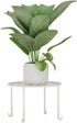 1 Pack Metal potted plant stand, rust-proof iron flower pot stand, heavy duty pot stand for indoor patio(White)...