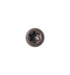 Composite Decking Stainless Steel Wood Screw, 10x2-1/2",Star Drive,Torx 20, Type 17 Slot Point,Wood Screw,1 Free Bit Included (#10x2-1/2", Dark Br...