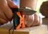 AccuSharp 2-Step Coarse and Fine Rods Knife Sharpener, Hones, Restores & Sharpens Kitchen Knives and All Types of Blades, Keychain Pull Through Kn...