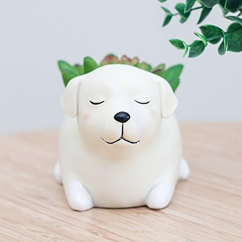 Labrador Dog Succulent Planter Pots for Office House Balcony Landscape Creative Decorative Flower Pots (Labrador Dog)...