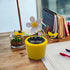 Reddish Orange Fashion Solar Powered Dancing Flower Toy Office Desk Car Decor Funny Electric Toy for Kids Sunflower Beetle Car Accessories Nice...
