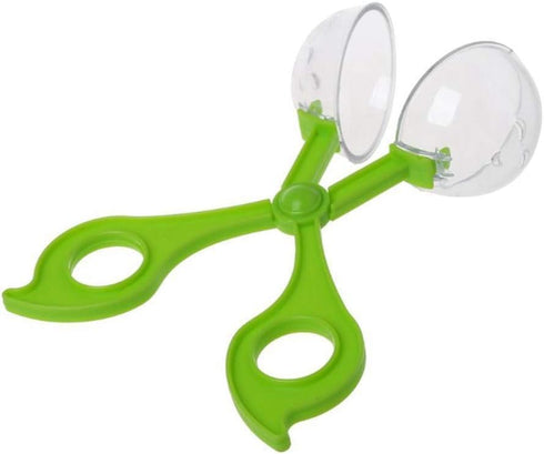 Green Catcher Plastic Outdoor Clamp Biology with Tweezer for Insect Bug Scissors Gifts Sports and Outdoor Play...