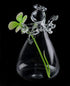 Brccee AC Angel Hanging Glass Angel Flower Vase Plant Flower Vase Hydroponic Office (S)...