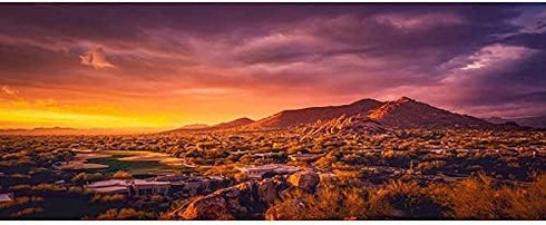 AWERT 36x18 inches Sun and Desert Terrarium Background Mountain Oasis Gobi Reptile Habitat Background Polyester Fish Tank Background...