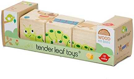Tender Leaf Toys - Educational Twisting Toy - My First Baby Wooden Puzzle Game - Early Learning to Develop Strategic Thinking and Fine Motor Skill...