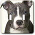 3dRose lsp_4240_2 " American Pit Bull Terrier Puppy Double Toggle Switch...