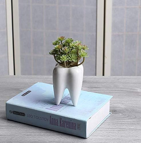 3.93 Inches Tall Tooth Shaped Ceramic Succulent Cactus Vase Flower Pot (Plants Not Included)...