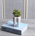 3.93 Inches Tall Tooth Shaped Ceramic Succulent Cactus Vase Flower Pot (Plants Not Included)...