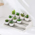 Cq acrylic 2 Pack Spice Rack Organizer for Pantry,14.5 Inch Tiered Seasoning Can Shelf Organizer For Cabinet,White...