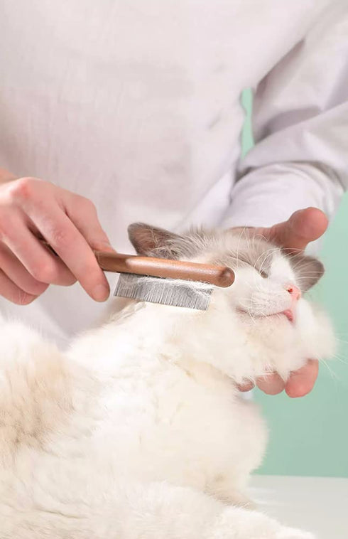 Pet Comb for Cats, Dematting Comb for Dogs,CISHNOU Solid Wood Pet Comb Grooming Tool for Cats,Dogs and rabbits (Single tooth)...