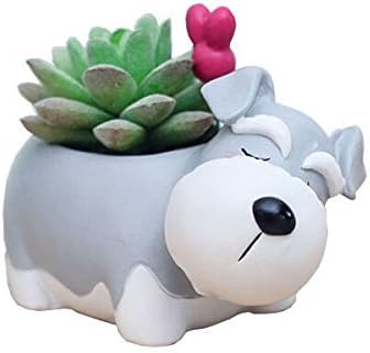 Cute Planter Animal Shaped Cartoon Home Decoration Succulent Vase Flower Pots (Schnauzer)...