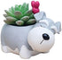 Cute Planter Animal Shaped Cartoon Home Decoration Succulent Vase Flower Pots (Schnauzer)...