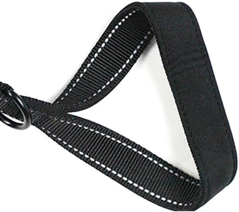 MODUS Reflective Leash for Dogs, Double-Sided Nylon Dog Training Leash with Comfortable Padded Handle, 6.6FT/15FT Traction Rope for Small Medium L...