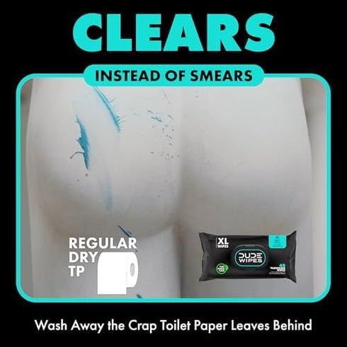 DUDE Wipes - On-The-Go Flushable Wipes - 1 Pack, 30 Wipes - Mint Chill Extra-Large Individually Wrapped Adult Wet Wipes - Eucalyptus & Tea Tree Oi...