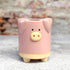Succulent Pots,3.35 Inch Cute Animal Pig Shaped Indoor Flower Planters-Plants Not in Included...